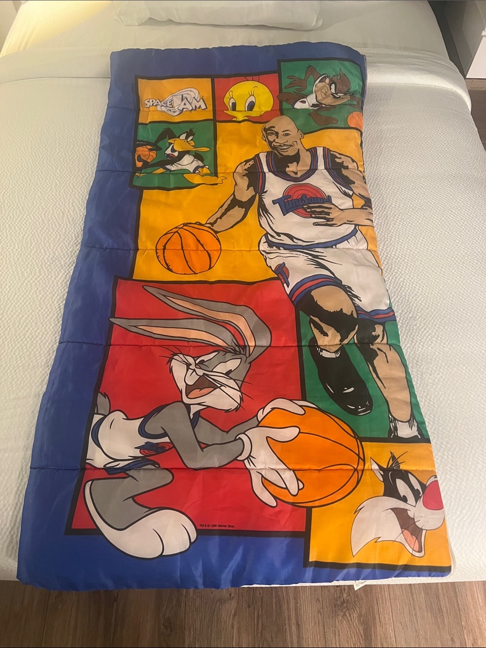 Vintage 90s Space Jam Sleeping Bag